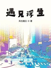 遇见厉姐最近视频