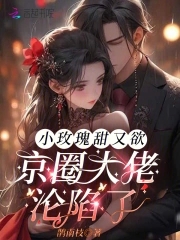 小玫瑰风小说全文免费